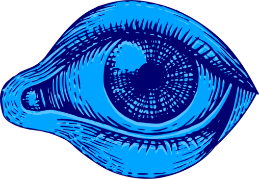 Oeil