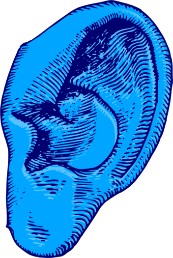 Oreille